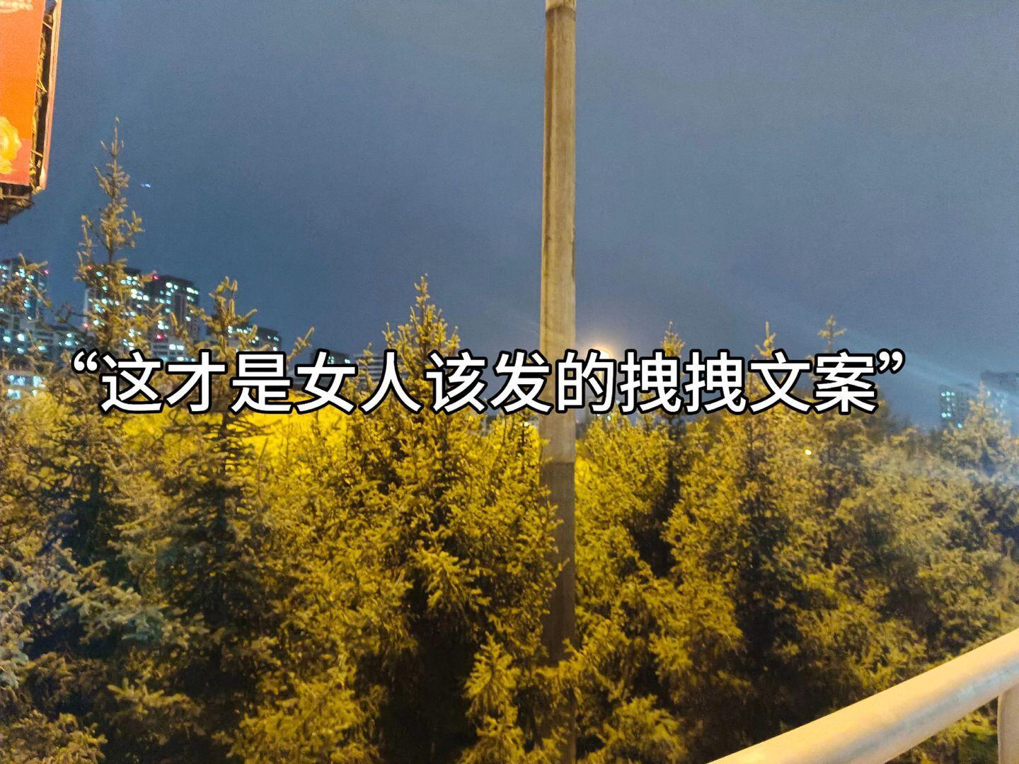 1 、 ✎ᵕ̈🌴𝐋𝐢𝐟𝐞 ⃕ ⸝⸝ ᵕ̈💭ʺ̤人人都有好皮囊，可未必