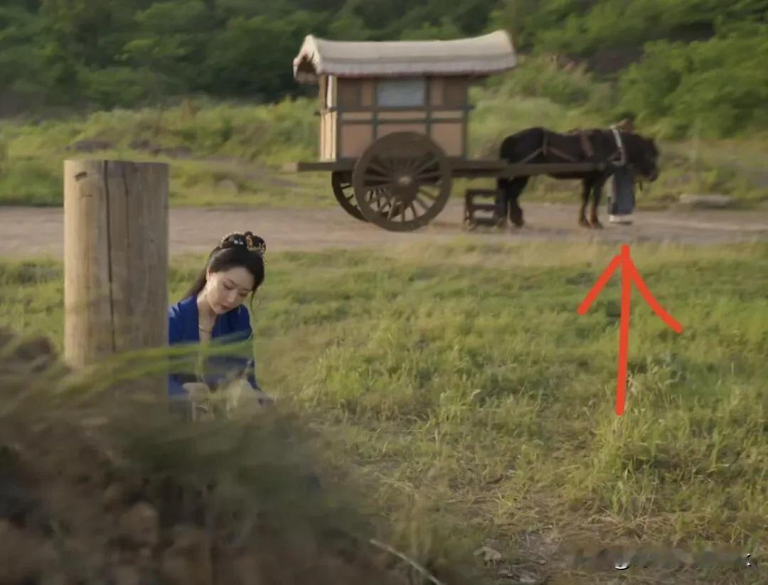 《藏海传》高明师父没有死吧，六初祭拜他的时候那个马夫声音好像高明[酷拽]

高明