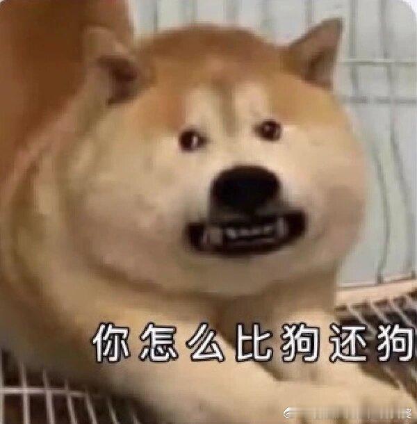 疑似林俊杰前女友发文他当年被打不就是因为把女孩搞怀孕了，然后不负责任，女方的舔狗