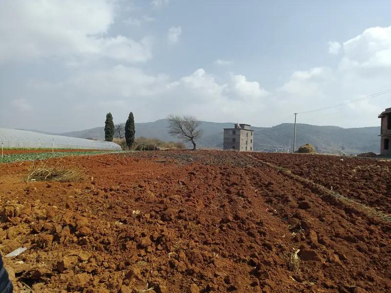 基层土地流转有一种常态：凡是涉及成规模、整建制（如整村、整组）的土地流转，往往不