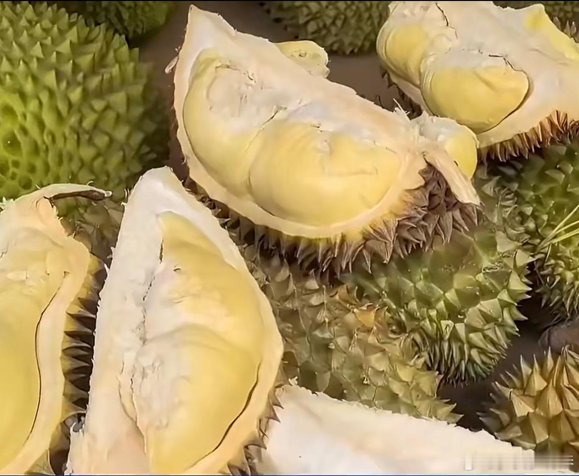 泰国榴莲正在疯狂涌入榴莲控狂喜！泰国榴莲进入上市高峰，价格还有下降空间，一直能持