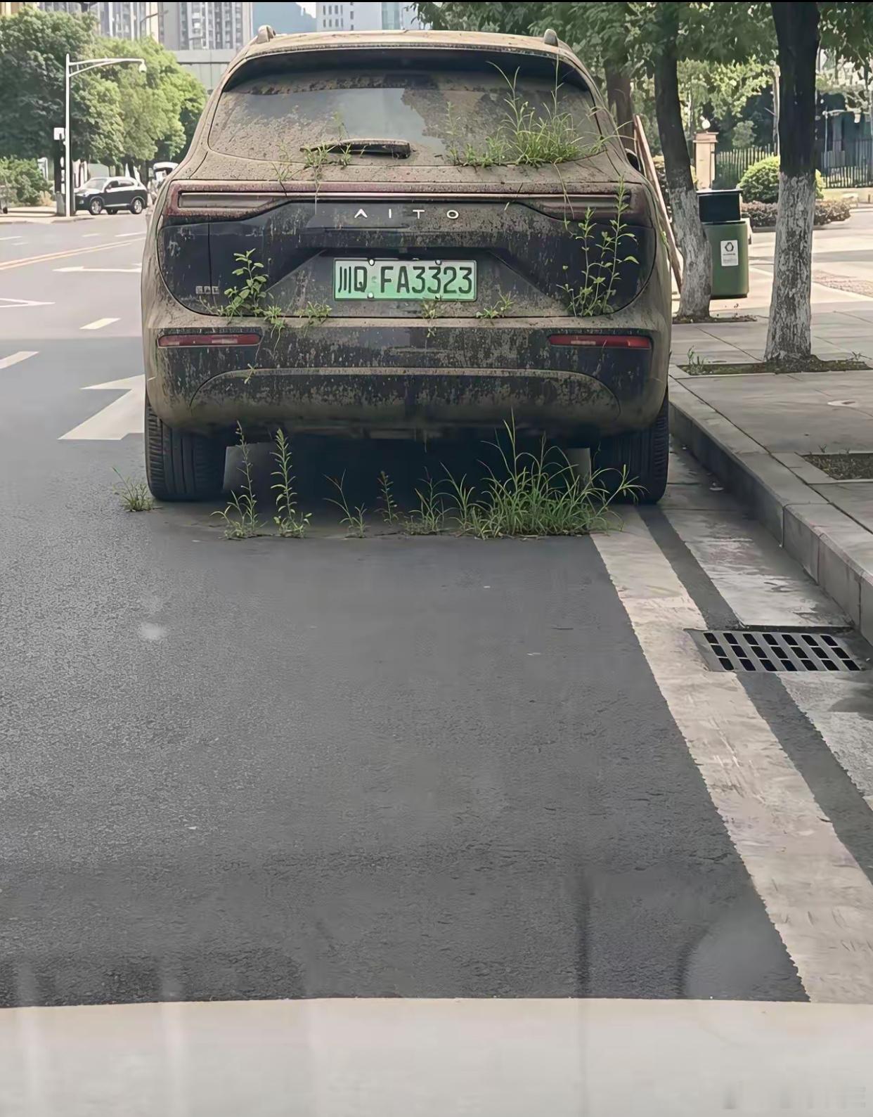 车是买来种草的？ 