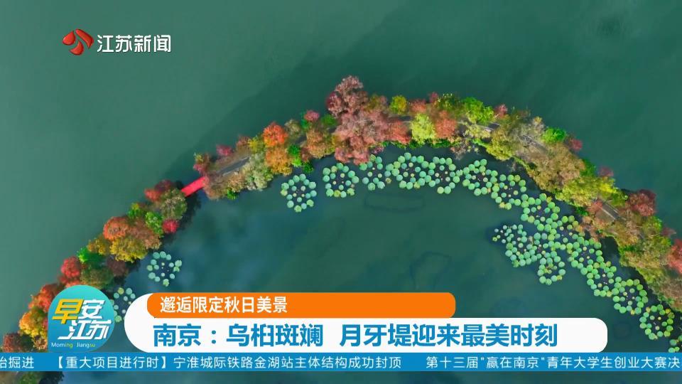 邂逅限定秋日美景 南京：乌桕斑斓 月牙堤迎来最美时刻