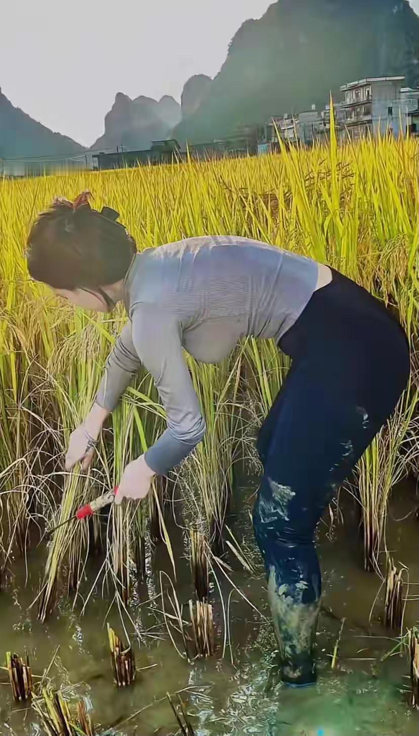 上联：田园少女书天地；
下联：？？