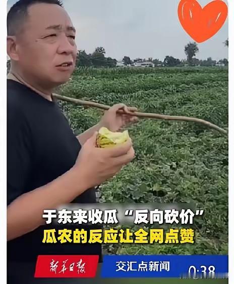 看到于东来收甜瓜那段视频，心里真不是滋味。
农户开口报价五毛，其实心里也没底，甚