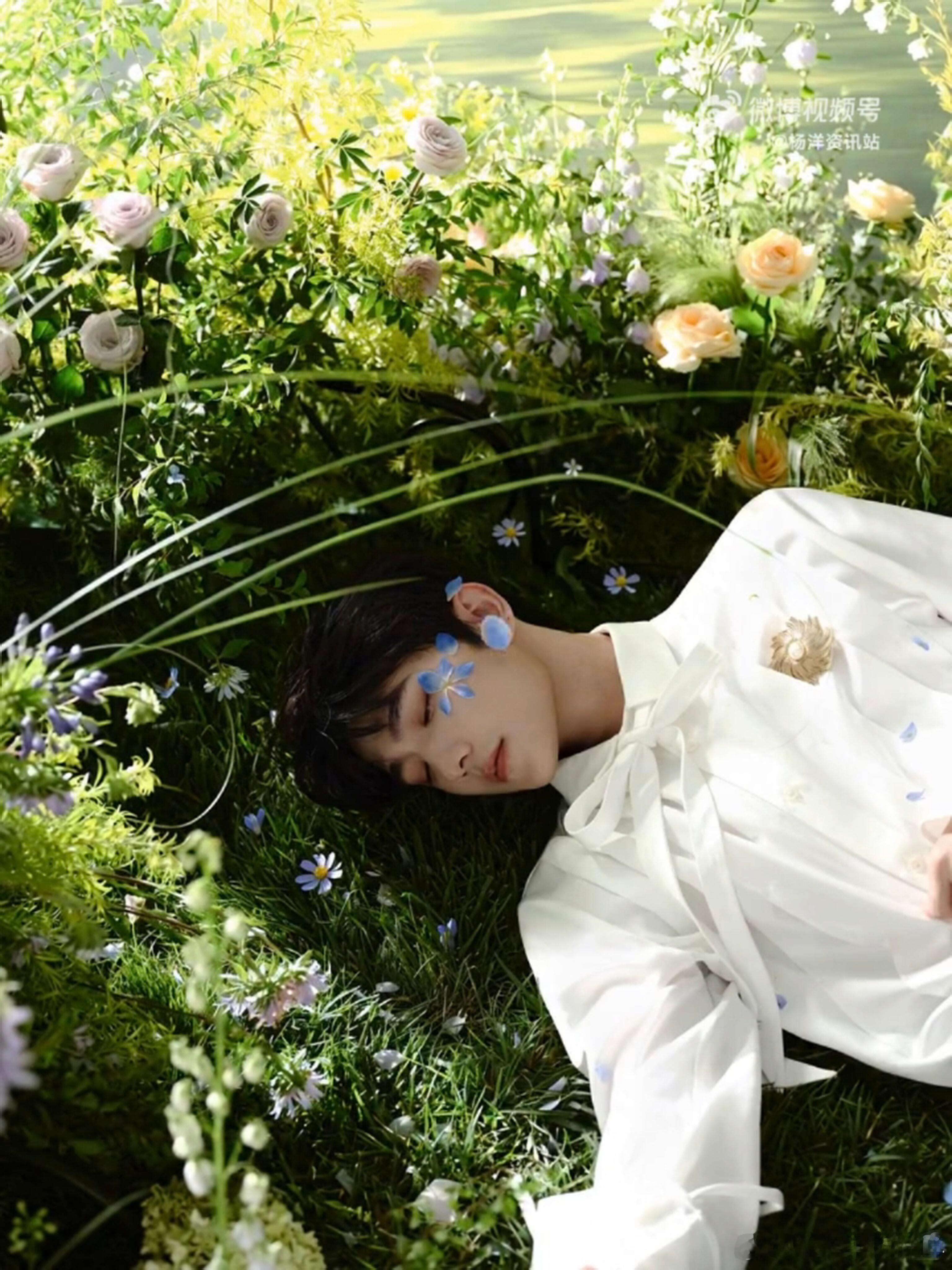 杨洋[超话]杨洋雨霖铃 yy杨洋0909生日快乐 想吻醒这沉睡的白马王子​​​
