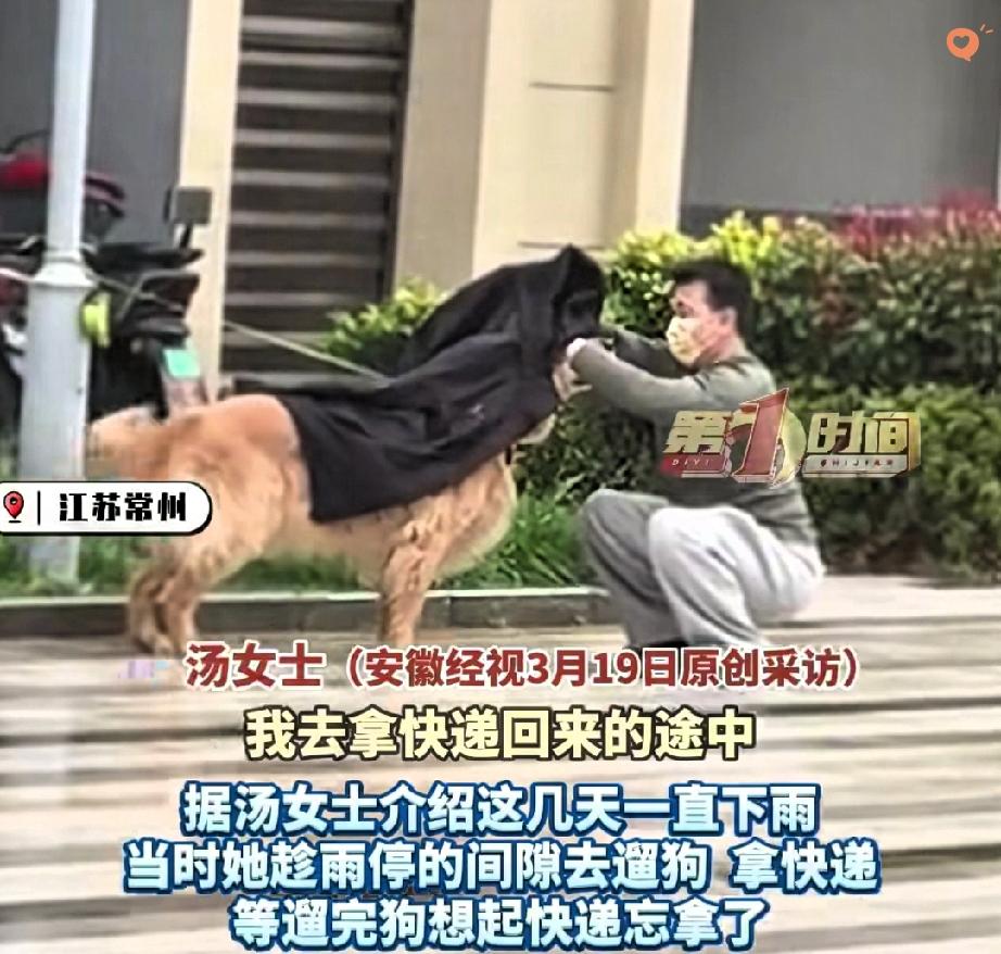 常州这场暴雨里的温柔，真的看一次暖一次！

女子取快递把金毛拴在路边，突降瓢泼大