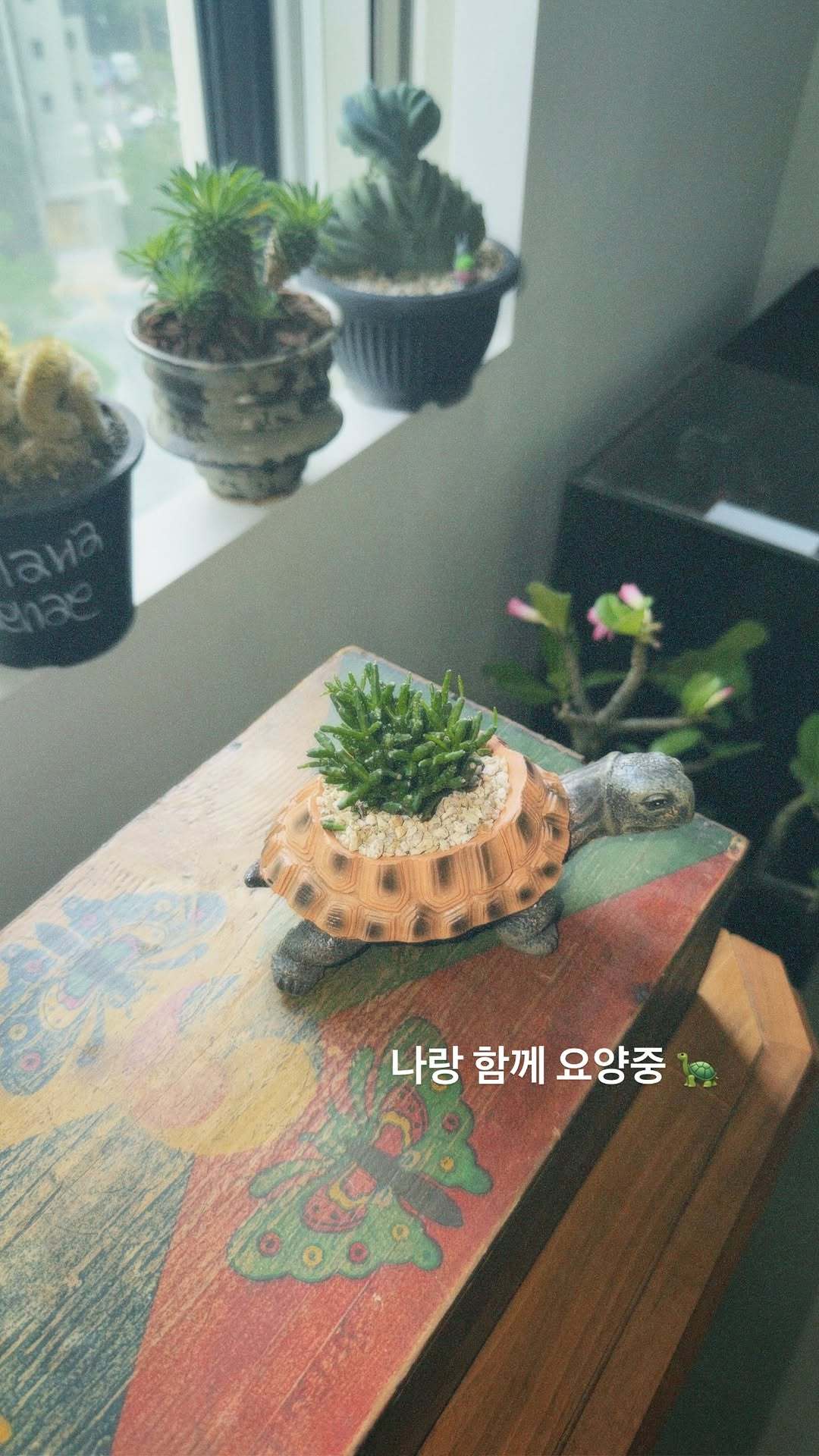 “CB百蓝_。260712金钟云 ins story更新：和我一起疗养中🐢 