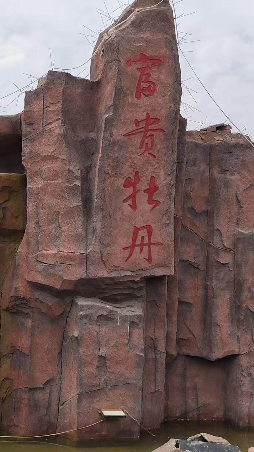 这里是邯郸河口牡丹园，今天跟着舅舅去邯郸河口牡丹园转了转。还别说，这里的风景啊。