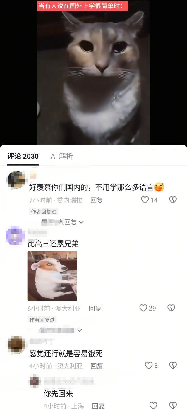 测报你就发这个然后什么都不说 
