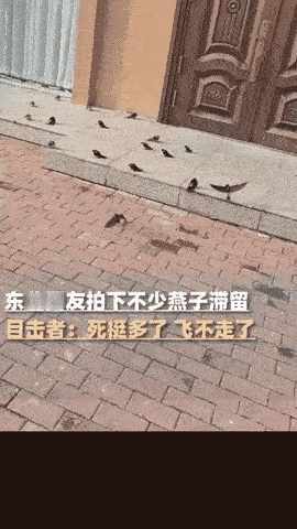 这下真的解释不清了！”黑龙江icon五常，天气越来越冷了，女子却发现自家门口聚了