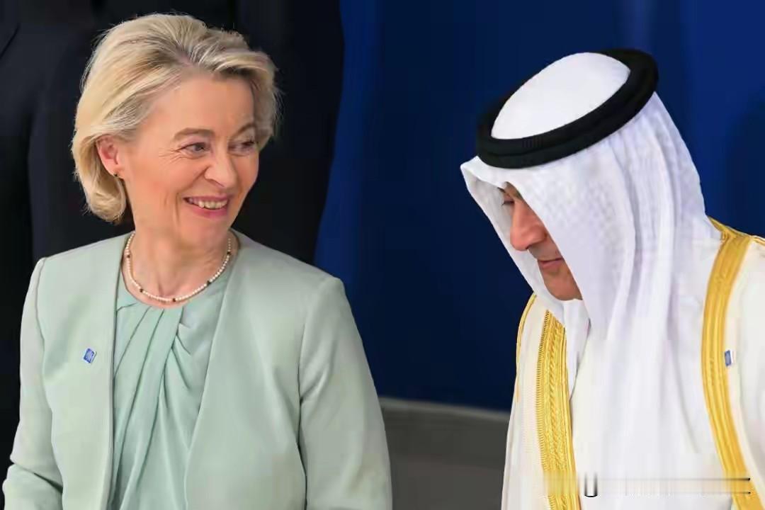 欧盟最近算是被霍尔木兹海峡拿捏得够呛，这条关键能源要道局势不稳，随时可能影响运输