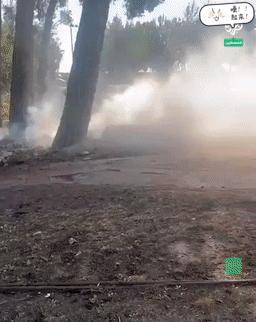 黎巴嫩真主党的还击已经开始。今天他们用多枚导弹，和多架无人机关照了以军在北部萨达