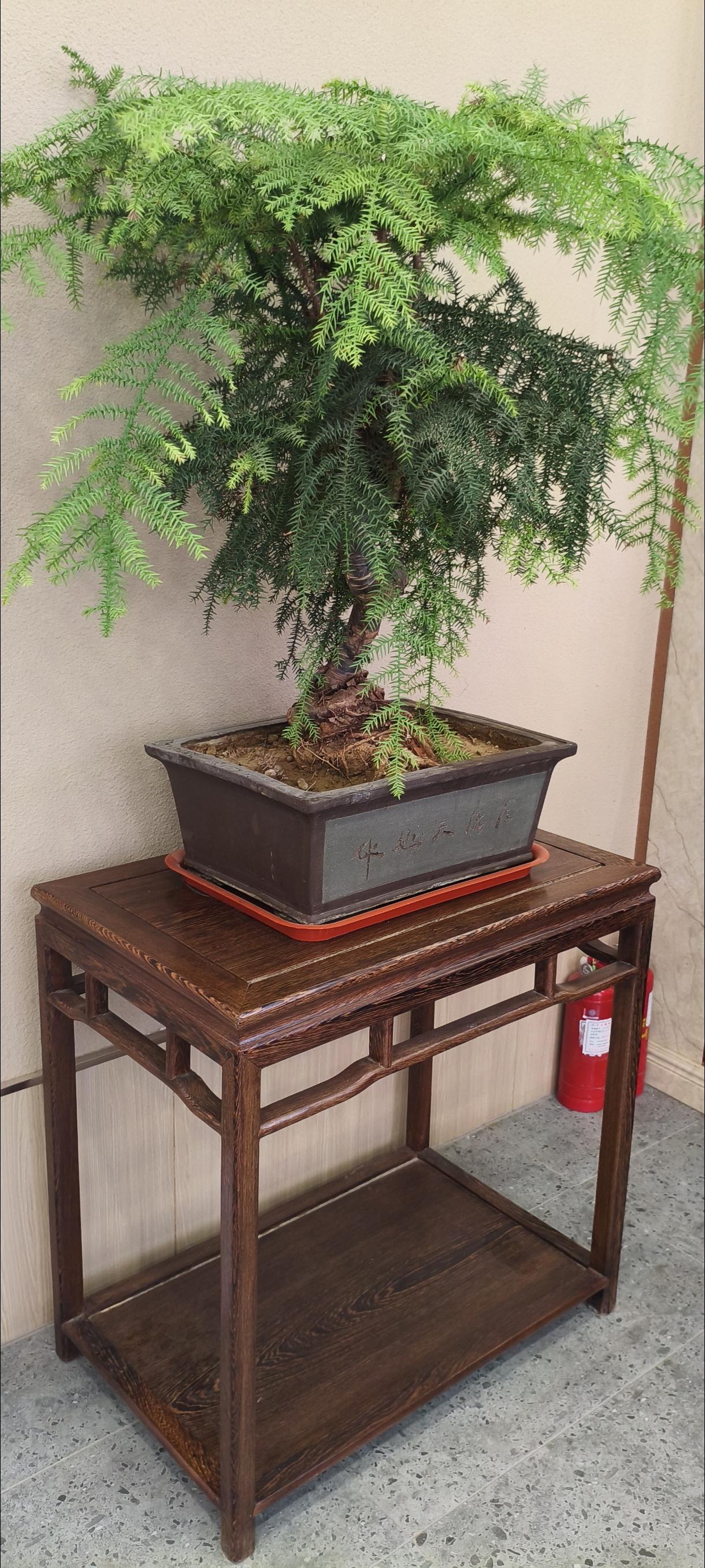 [作揖]人都是会死的，人一出生就在倒数，你在意的很多东西最终都会消失，所以，为什