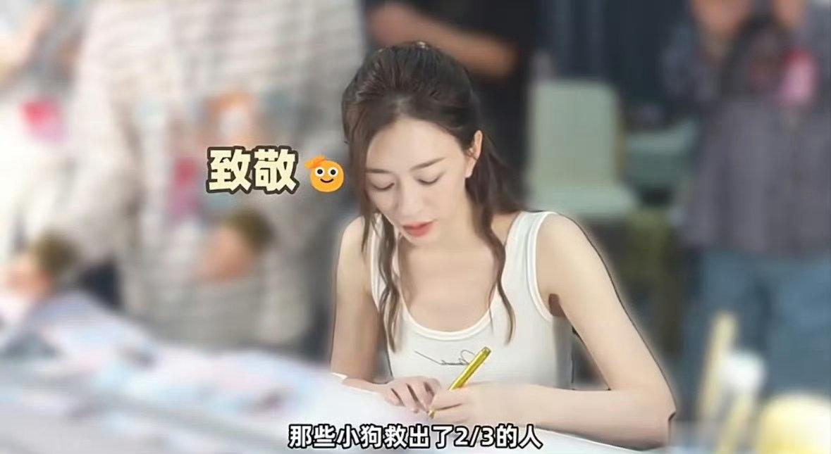 李小冉为地震参与搜救的小狗点赞 穿梭断壁残垣嗅探生还气息，搜救小狗冒着危险奔波救