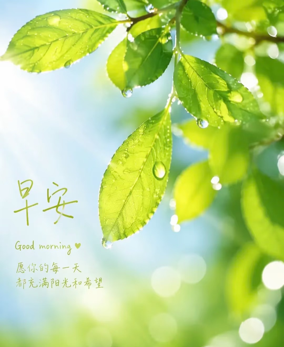忙中有序，闲中有乐，在平淡的日常中享受简单的快乐，寻找生活的小确幸！周三早安生活