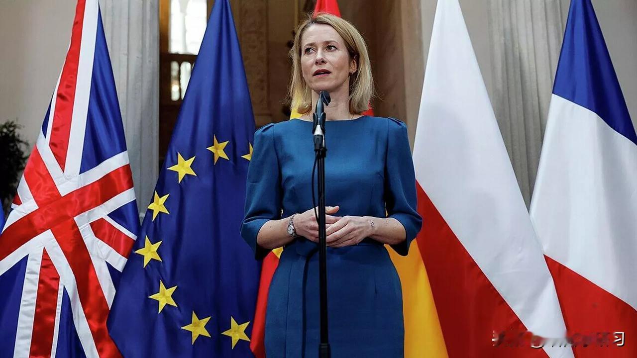 欧盟外交与安全政策高级代表证实欧盟计划于 2026 年 02 月 24 日通过第