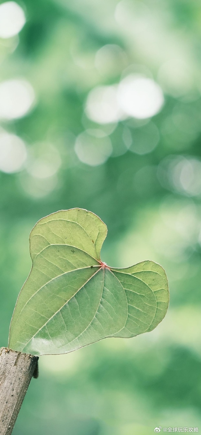 拜托把我和夏天一起揽入怀中💚 ​​​