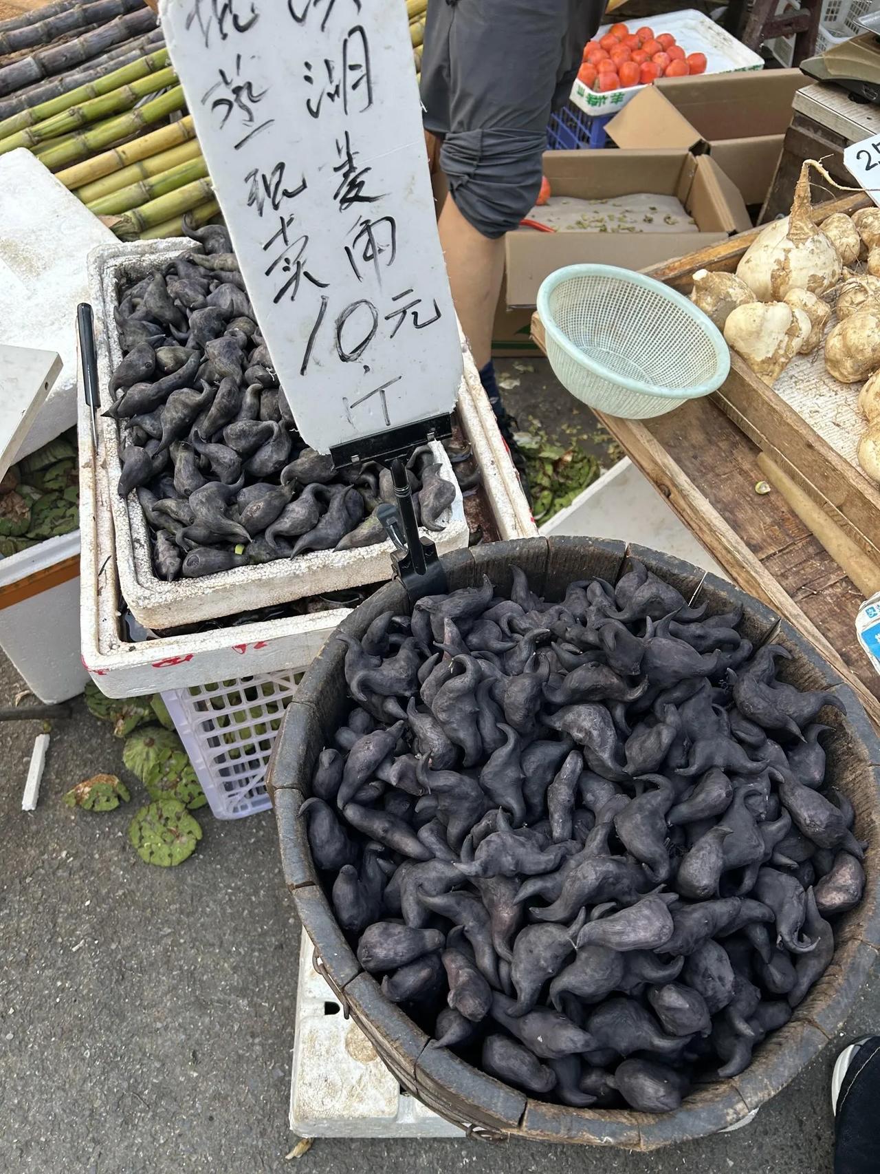 武汉这个是啥啊？好像黑牛角…..