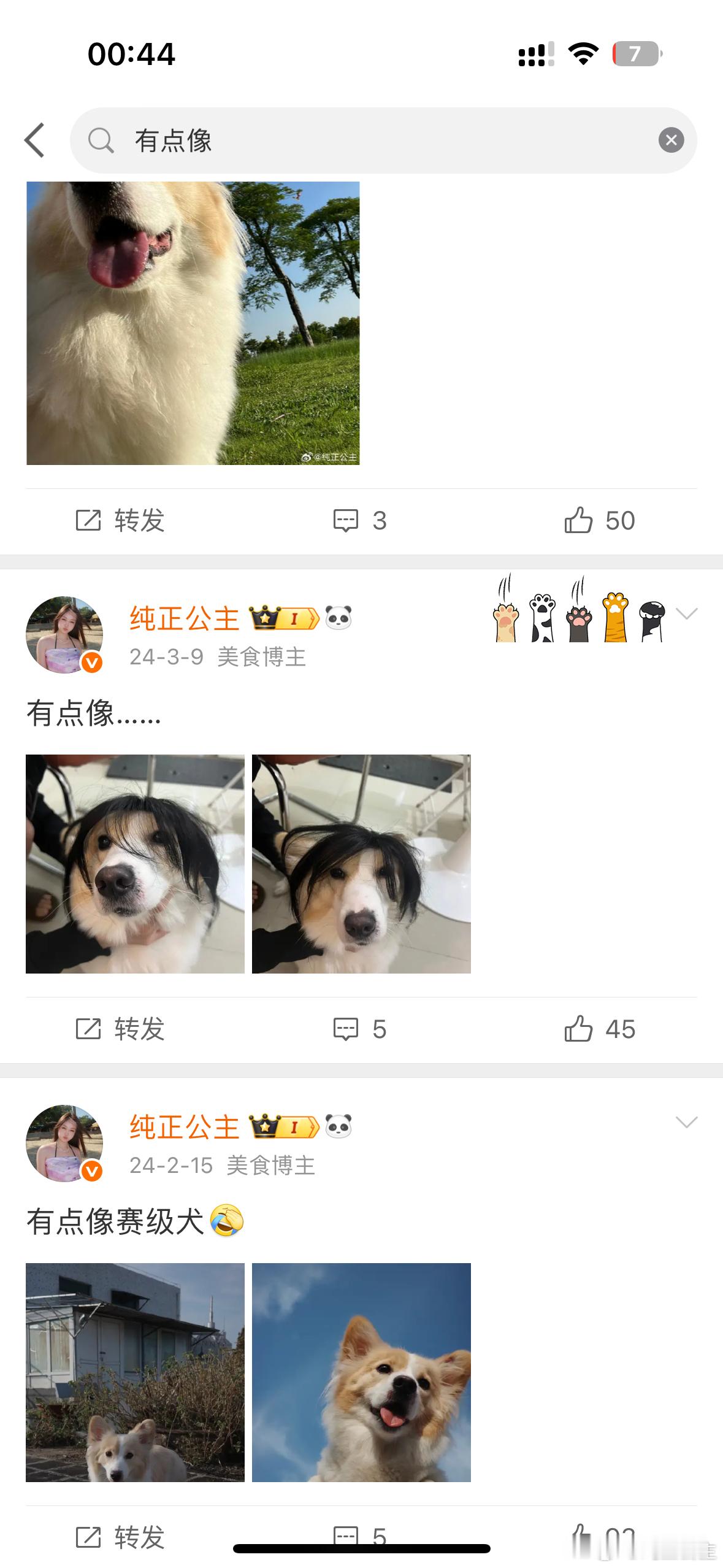 最谦虚，最不爱碰瓷的女孩 