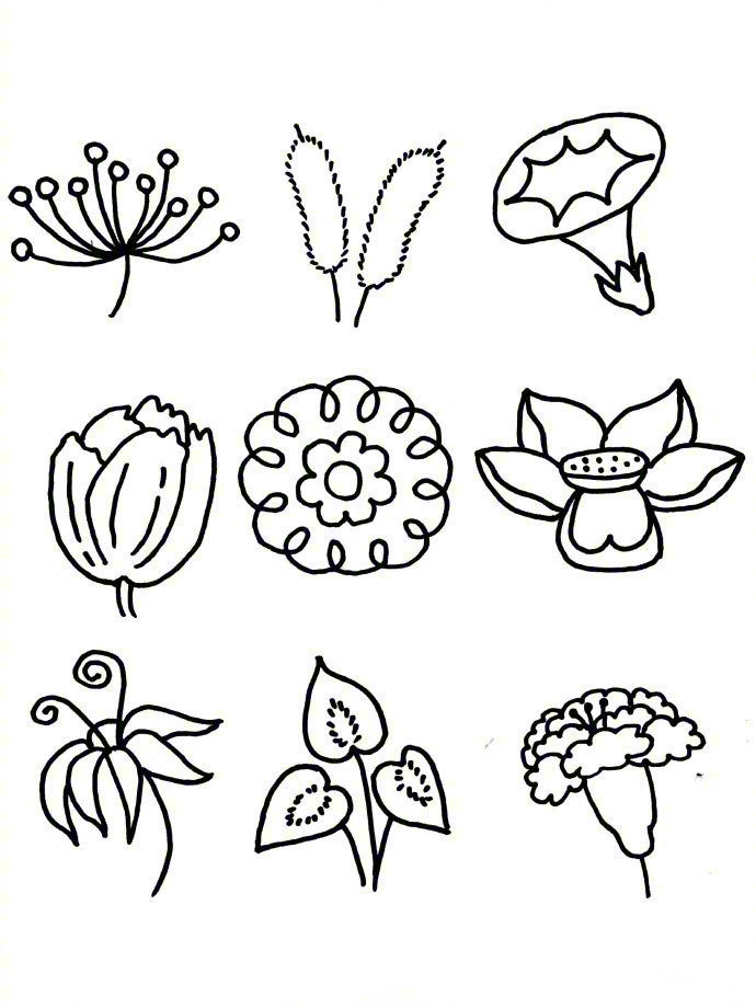 教育干货 | 花朵简笔画手绘手帐素材 ​​​