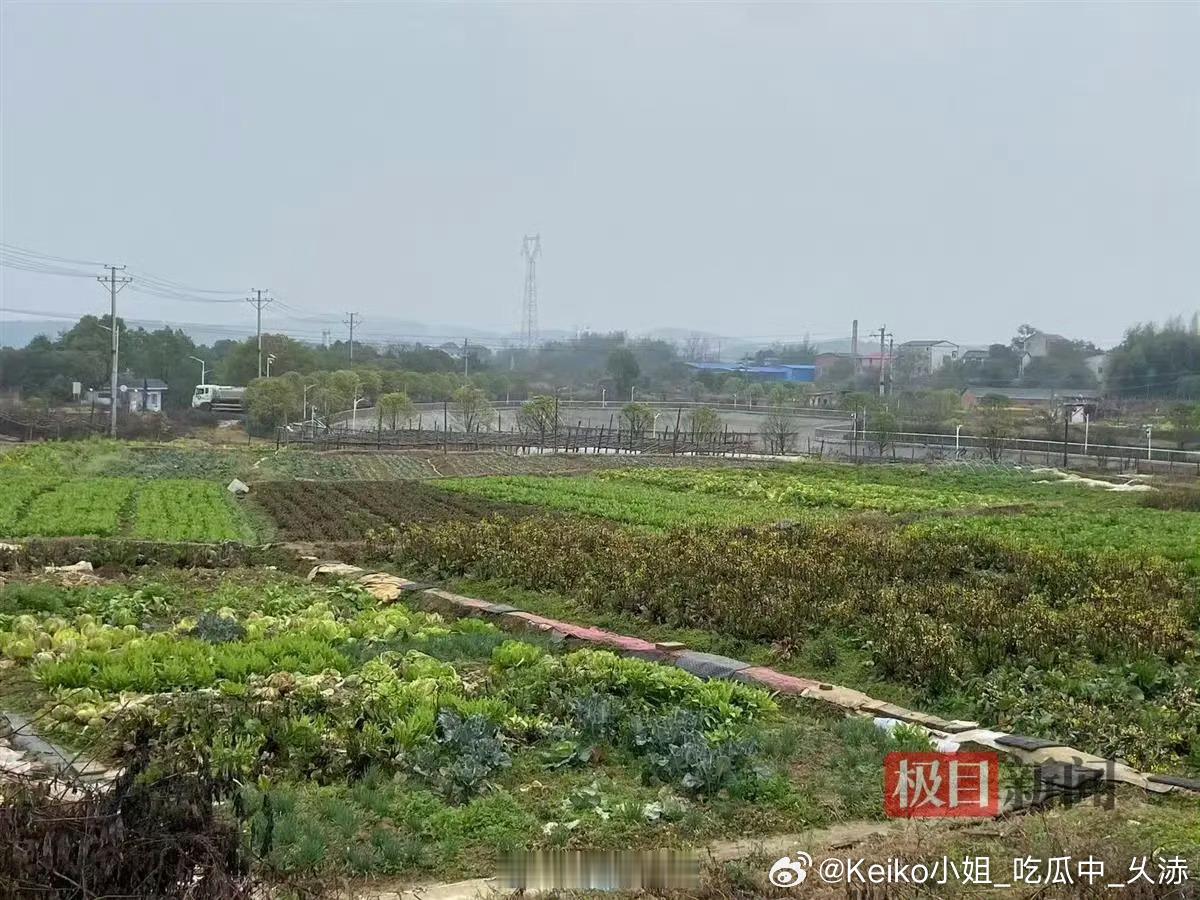 永州含粗苯废水被转至露天池暂存 【 永州含粗苯废水被转至露天池暂存  当地通报终