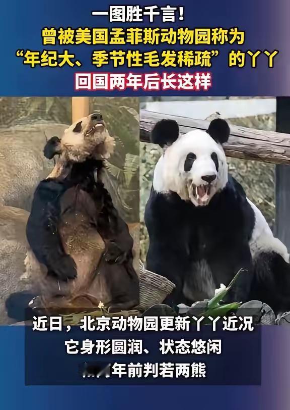 斩杀线的又一铁证
西大的的斩杀线连动物都放过，曾经跌落到西大的斩杀线之下的丫丫，