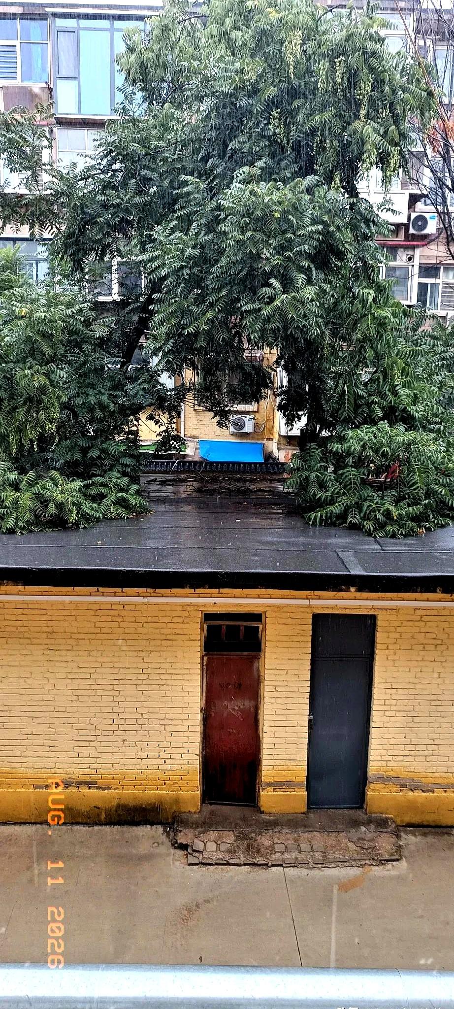 谁敢信这雨跟拿盆泼似的，半小时就把石家庄长安区的马路给淹了？
现在才2026年8