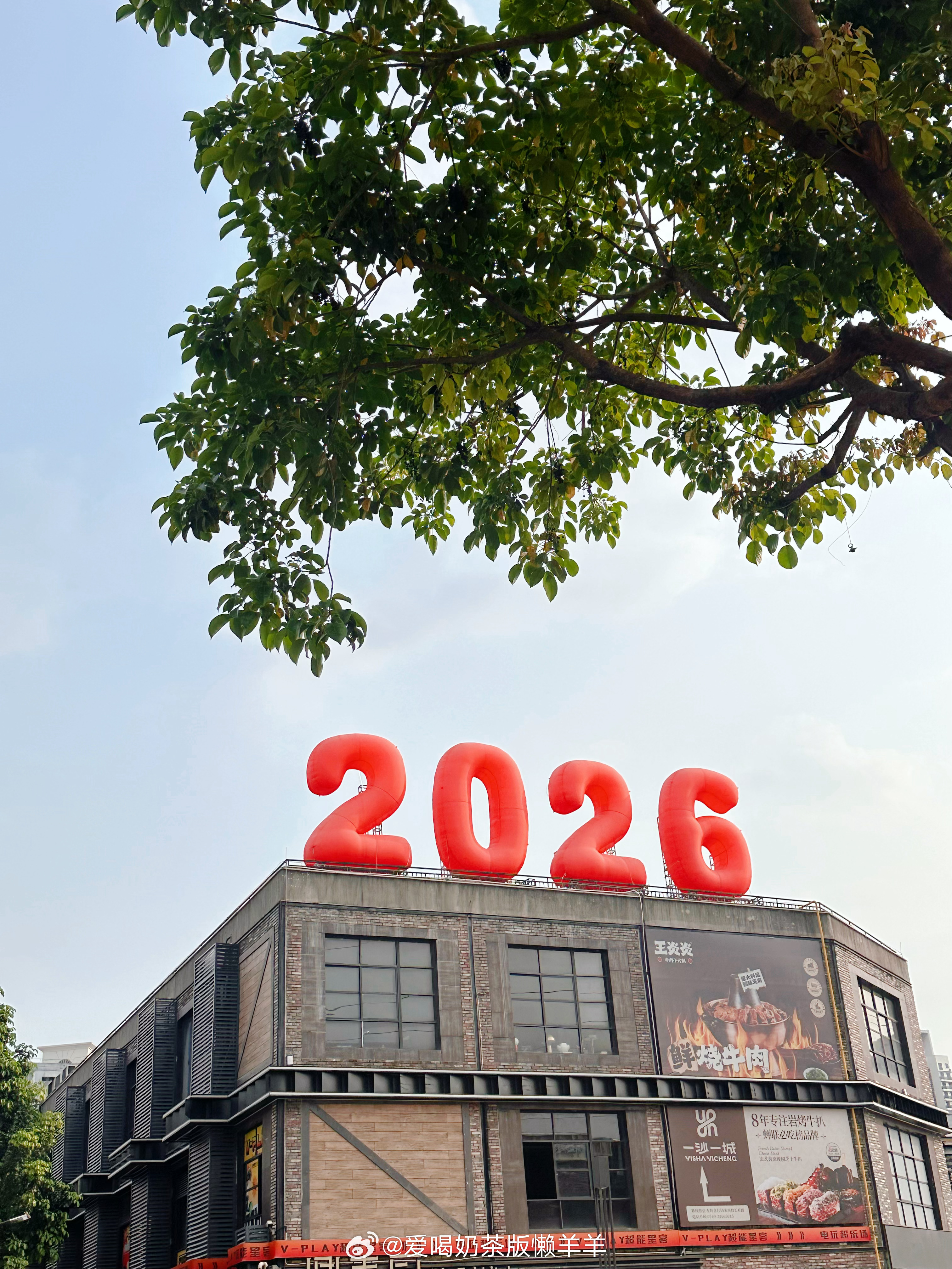 幸好世界上有明亮的春天🦢 