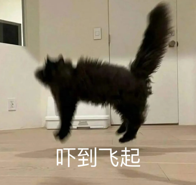 广东一小区大蛇小蛇到处溜达 怕蛇的可以原地去世了，我要住这都不敢出门 ​​​