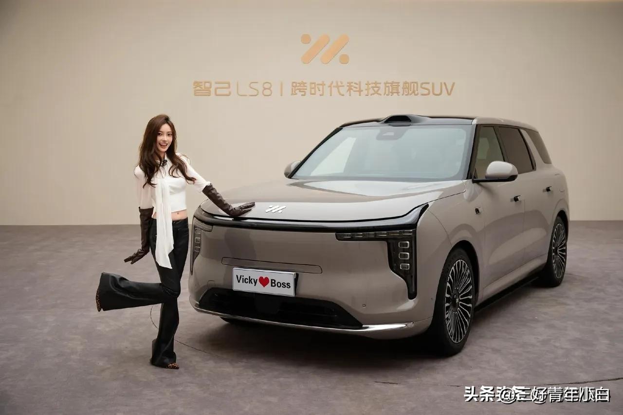 Y、极氪中型SUV等热门车型比起来，它的性价比简直无敌。
现在很多车企玩“入门丐