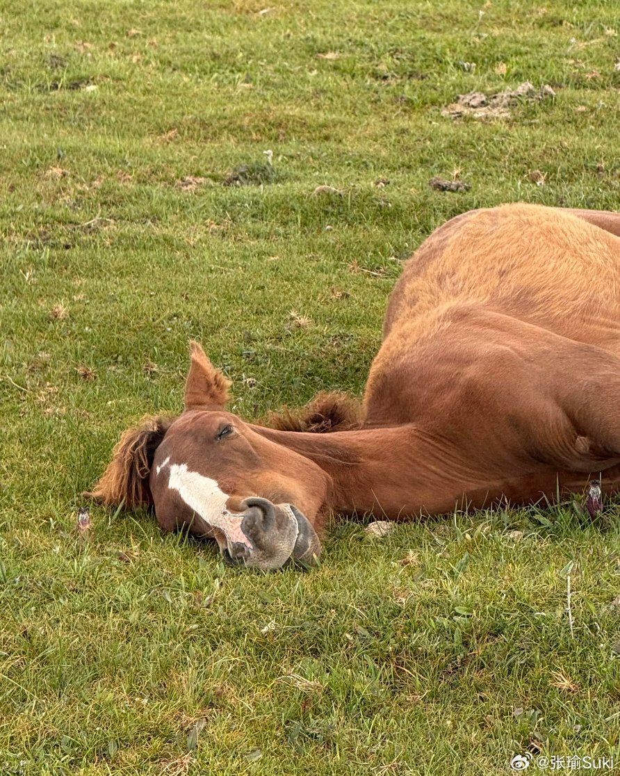 大家交易战争缓和，黄金却大涨，有意思吗？依然想强调，对黄金的传统分析方法都部分失