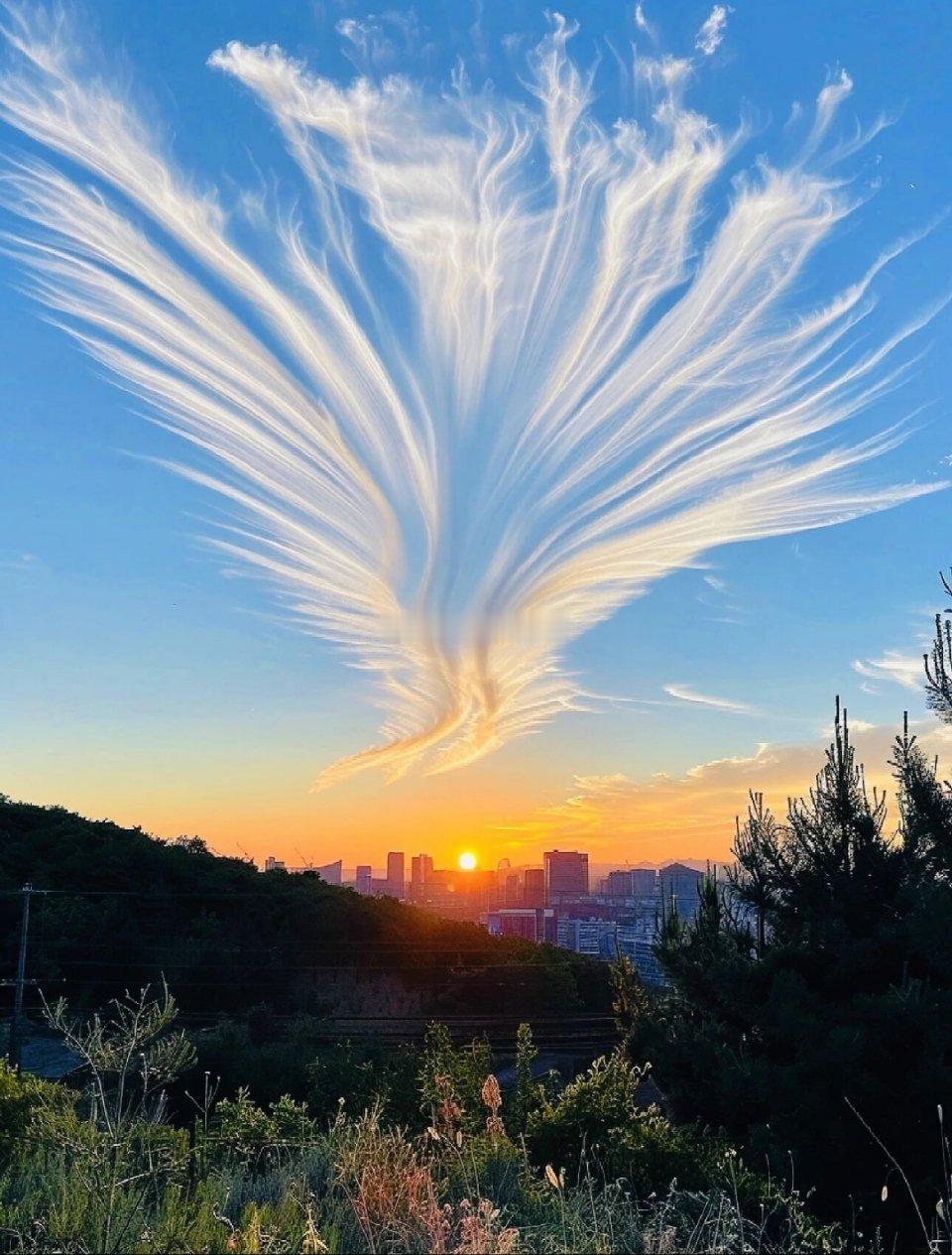 周三的剧本定了大盘这样走。周二整体盘面比较差，主要原因是一季报接近尾声，爆雷滚滚