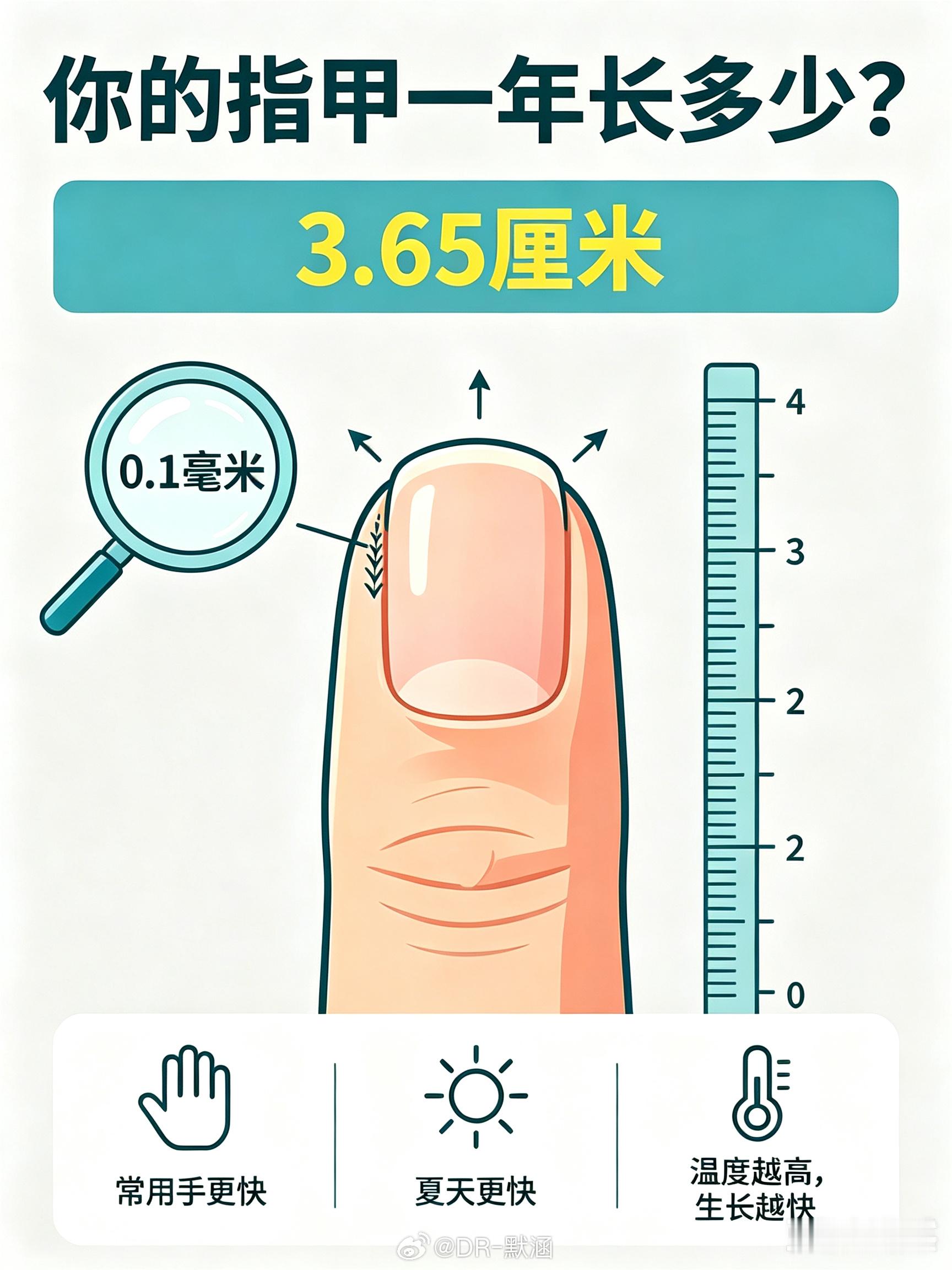 你的指甲平均每天生长0.1毫米，一年能长3.65厘米。常用的那只手，因为活动多、