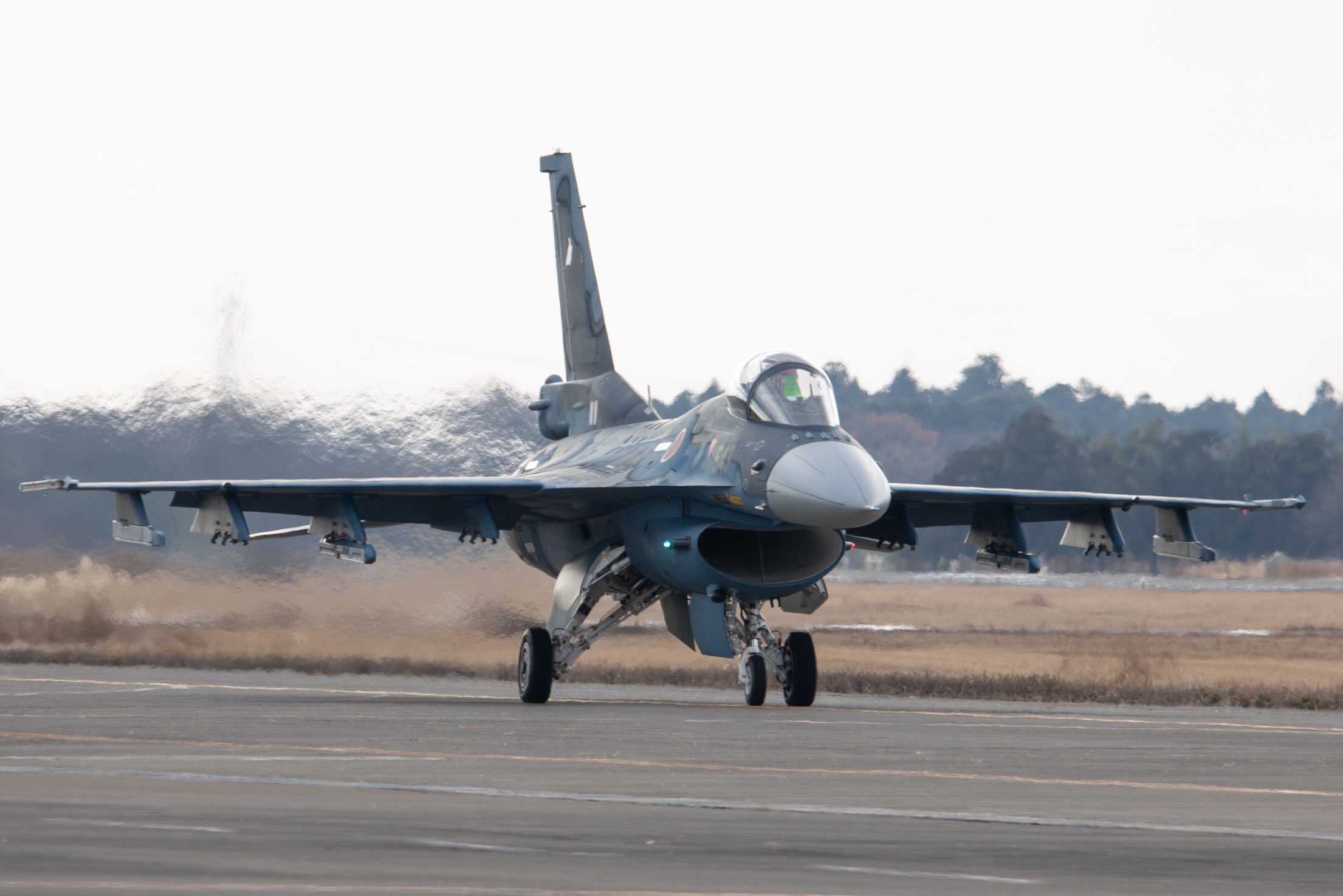 百里基地航空祭滑行道上的靓仔们 