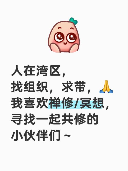 美国湾区/禅修搭子