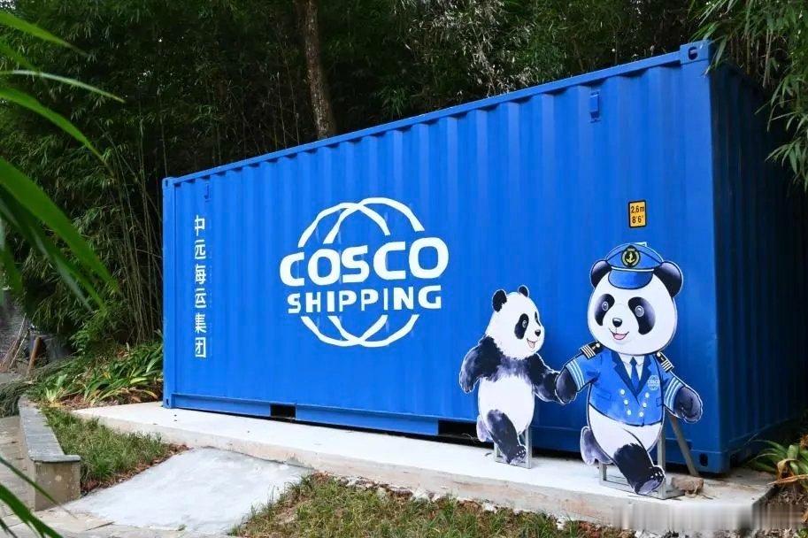 恭贺cosco活动日顺利举行 