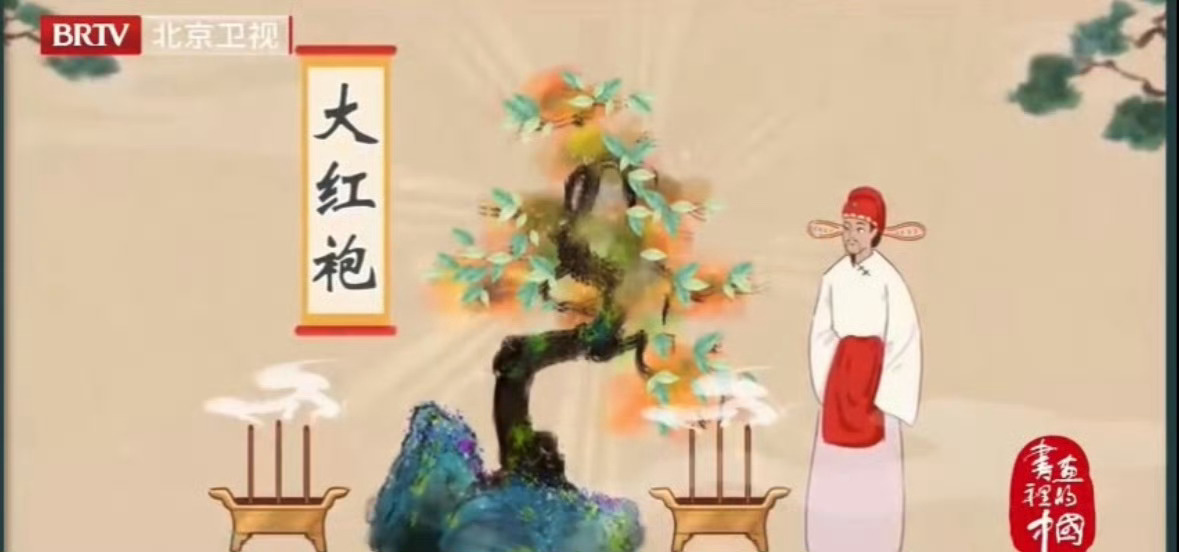 原来喝茶还能学历史 大红袍的“红”和民间传说里，从前呢有个书生进京赶考，路过一个
