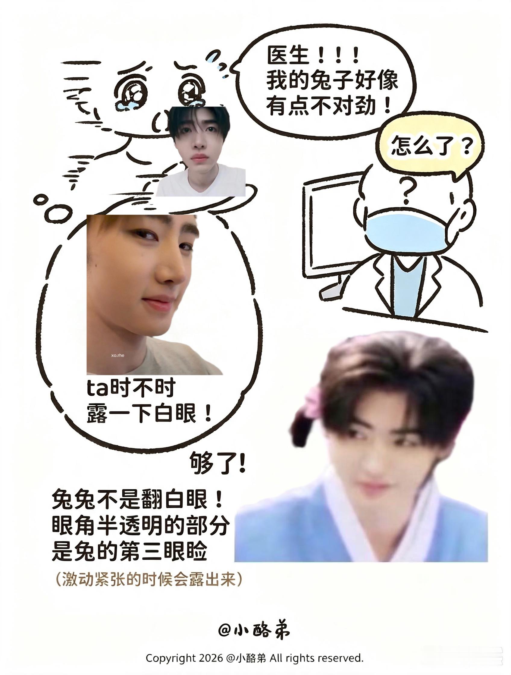 医生我家兔子好像有点不对劲！ 