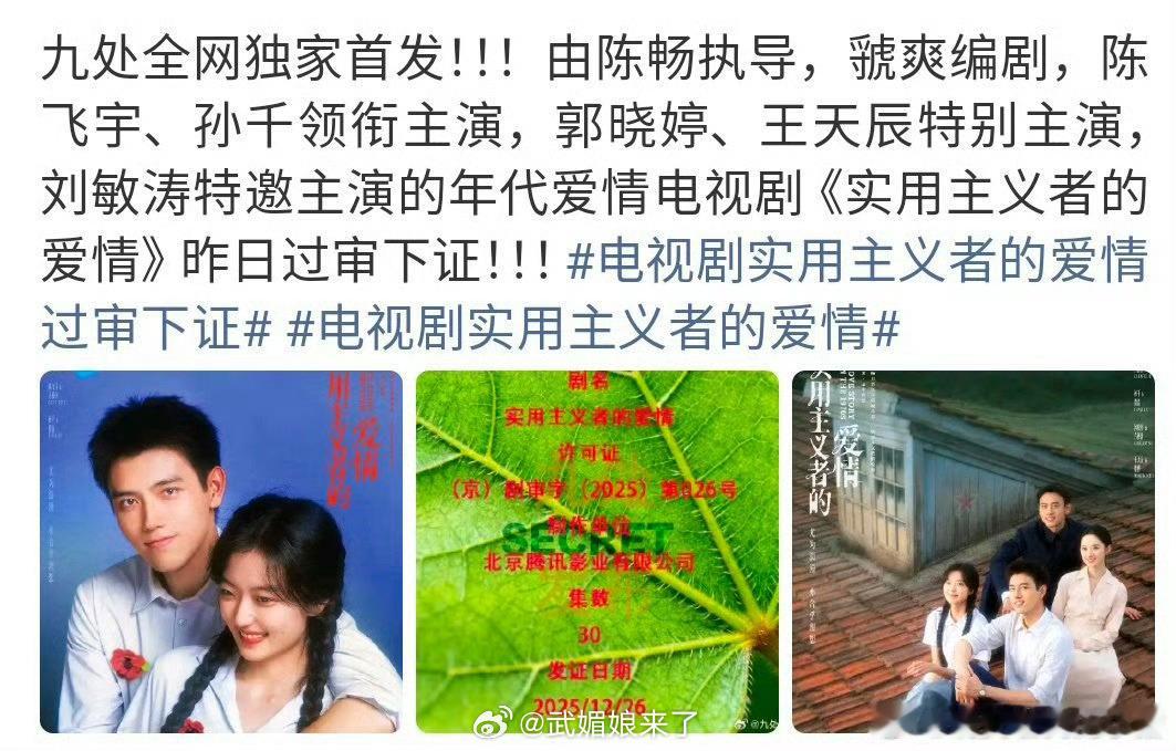 恭喜陈飞宇、孙千主演《实用主义者的爱情》过审下证了，期待早日见面！ 