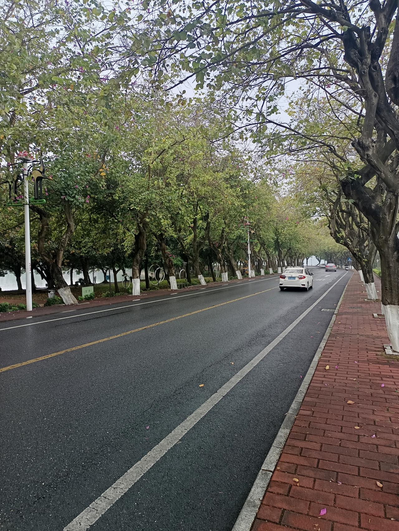 说真的
肇庆还是放弃5A级风景区这个名头吧
虽然环境优美，风景秀丽，却没有什么人