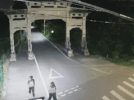 浙江宁波奉化，深夜两女子带工具挖土豆，用扁担挑至路边树林藏匿；随后男子开车来装车