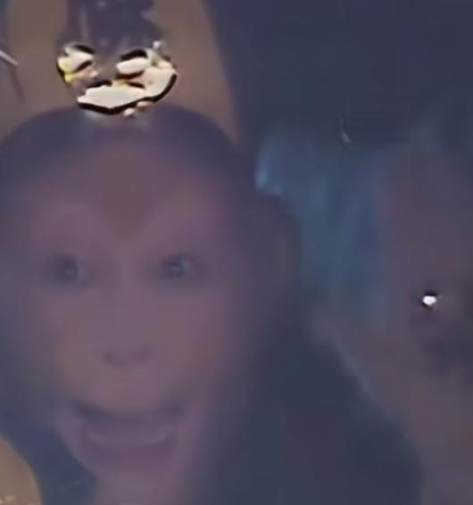 西游记 记忆篡改疑云：你还记得孙悟空手心的是 卍 还是 禁 吗？
 
最近，不少