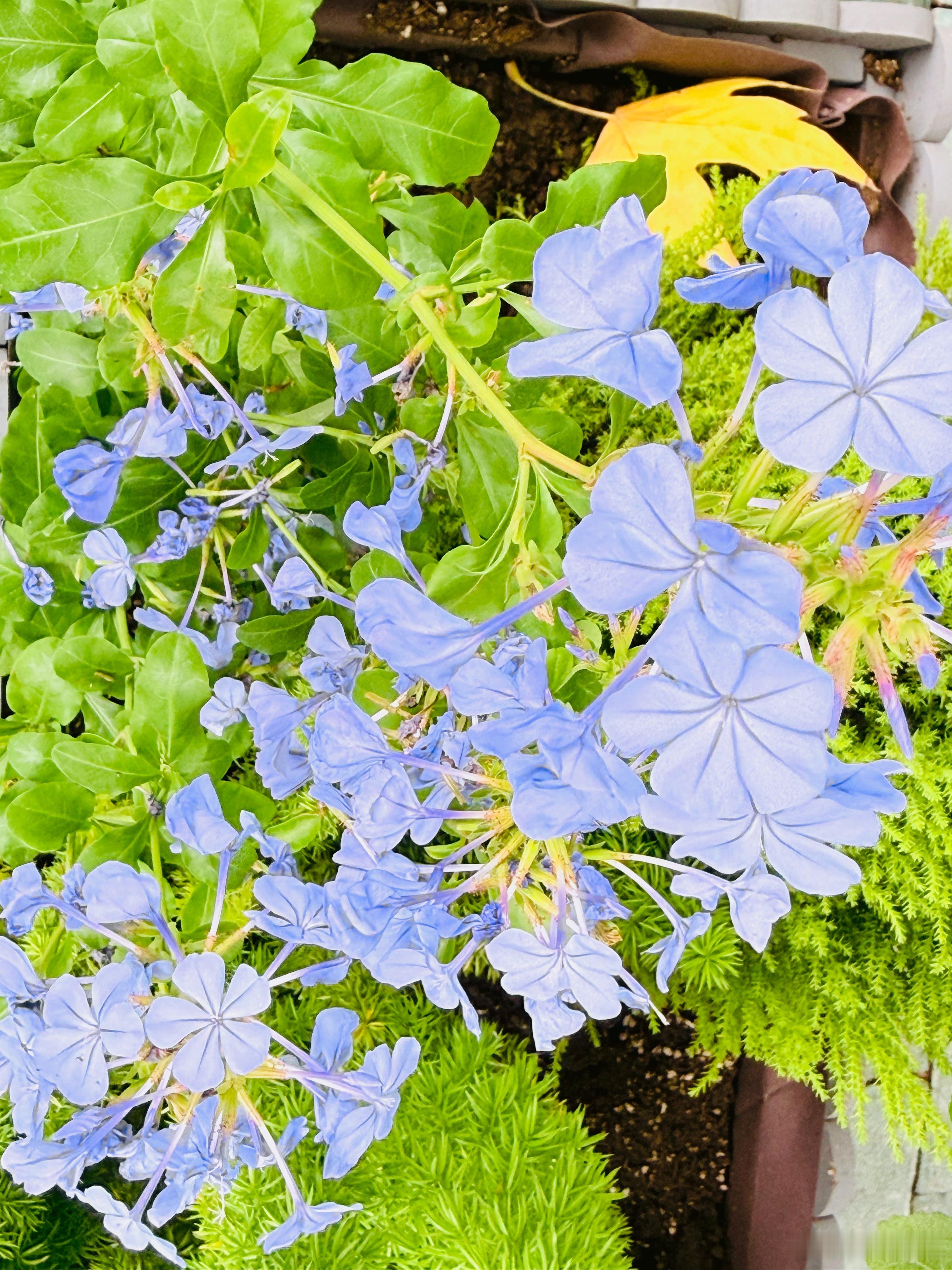 善良如同温暖的阳光，照亮他人也温暖自己。善待他人，就是善待自己​￼。 ​​​