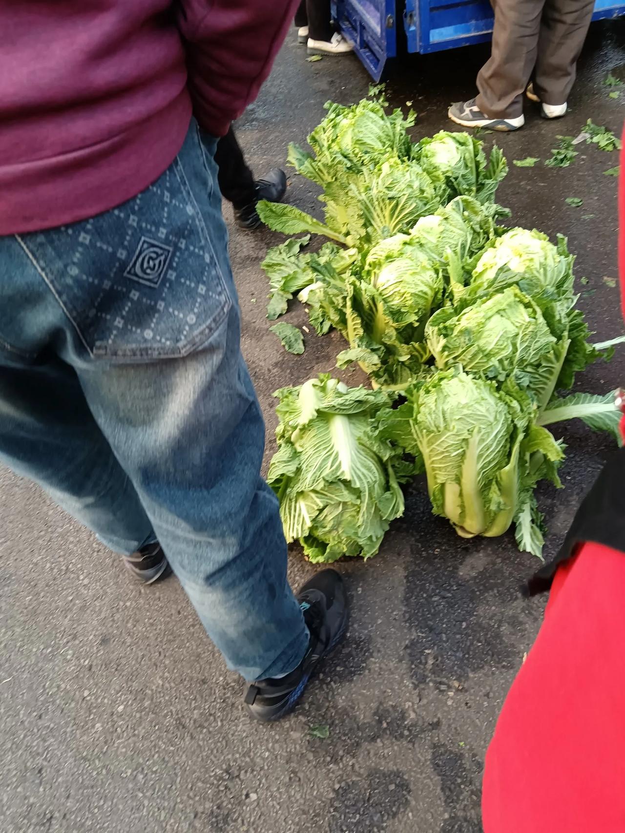 大白菜价格降下来了

昨天买的白菜，问了好几个摊位的价格，上下几乎差不多。

两