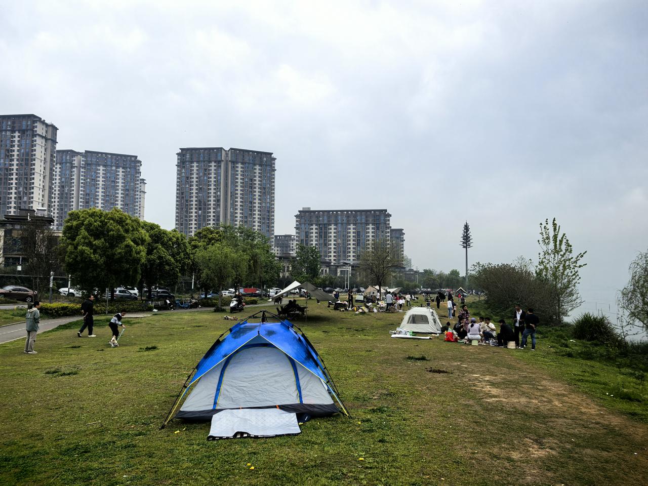 武汉露营热门打卡地🔥
江夏庙山东路环湖绿道直接封神！
汤逊湖畔风吹湖浪 满眼青