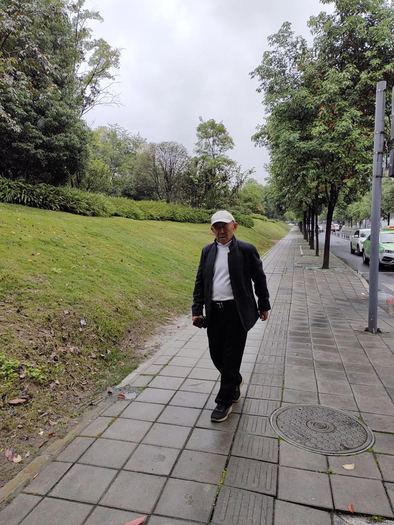 陪家父雨中漫步

细雨迷蒙润锦城，
街头花艳草丛青。 
时光荏苒情何老？
家父蹒