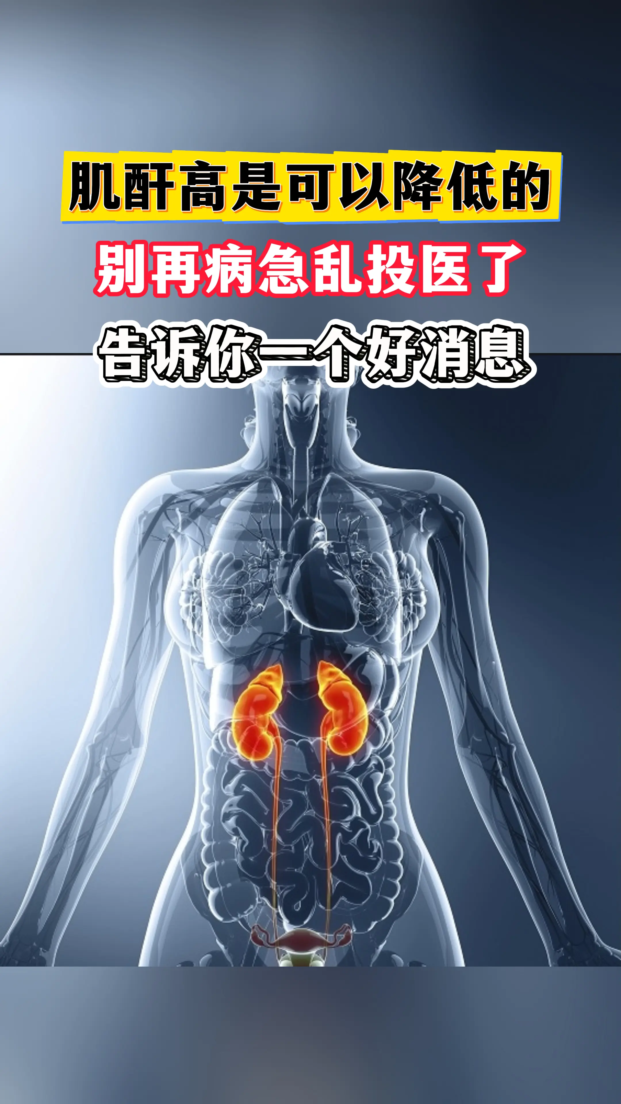 肾病老中医说句心里话，各位正在与肾病抗争的朋友及家人们： 当体检报告上...