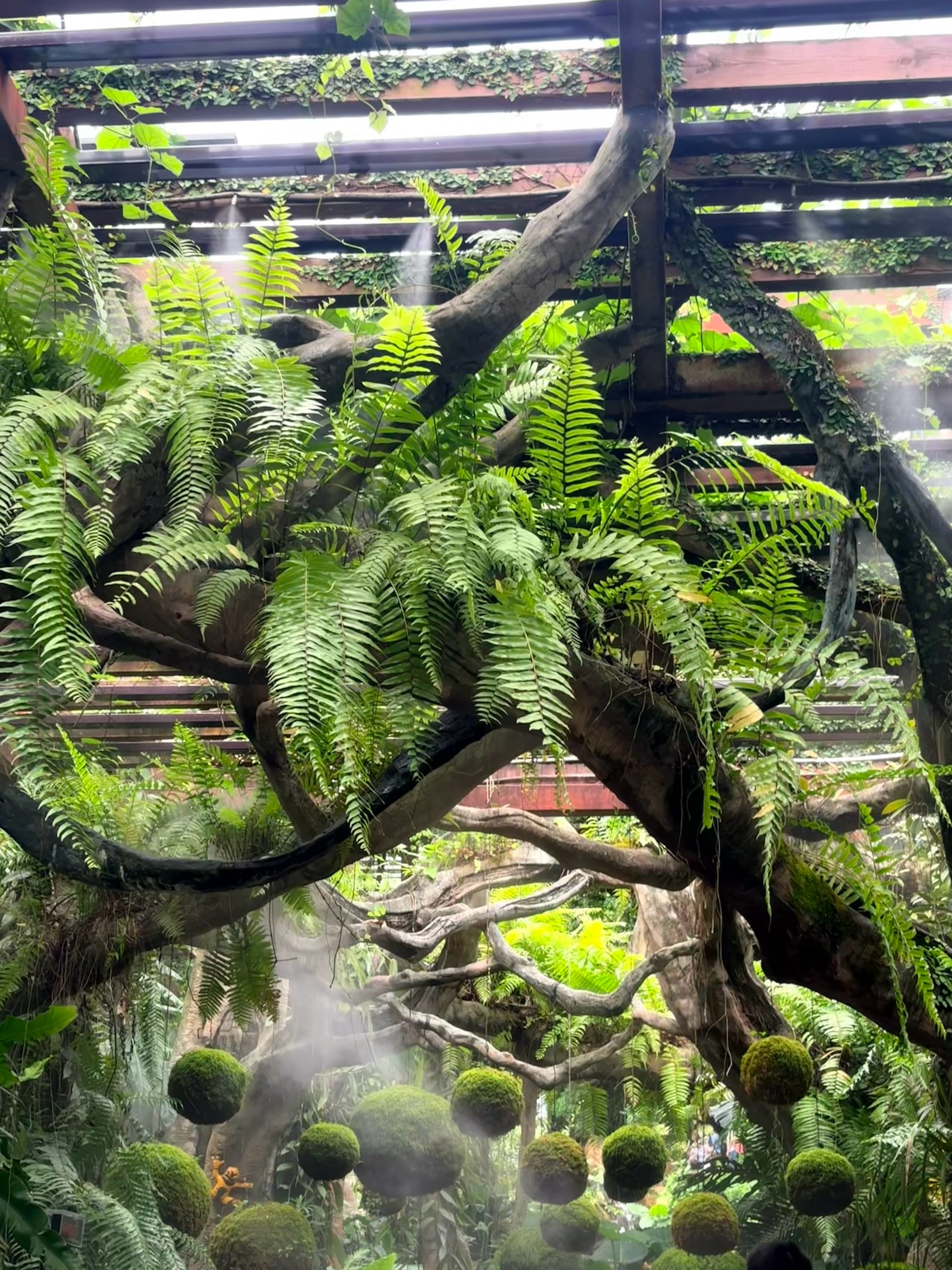分享图片 南宁·青秀山风景区