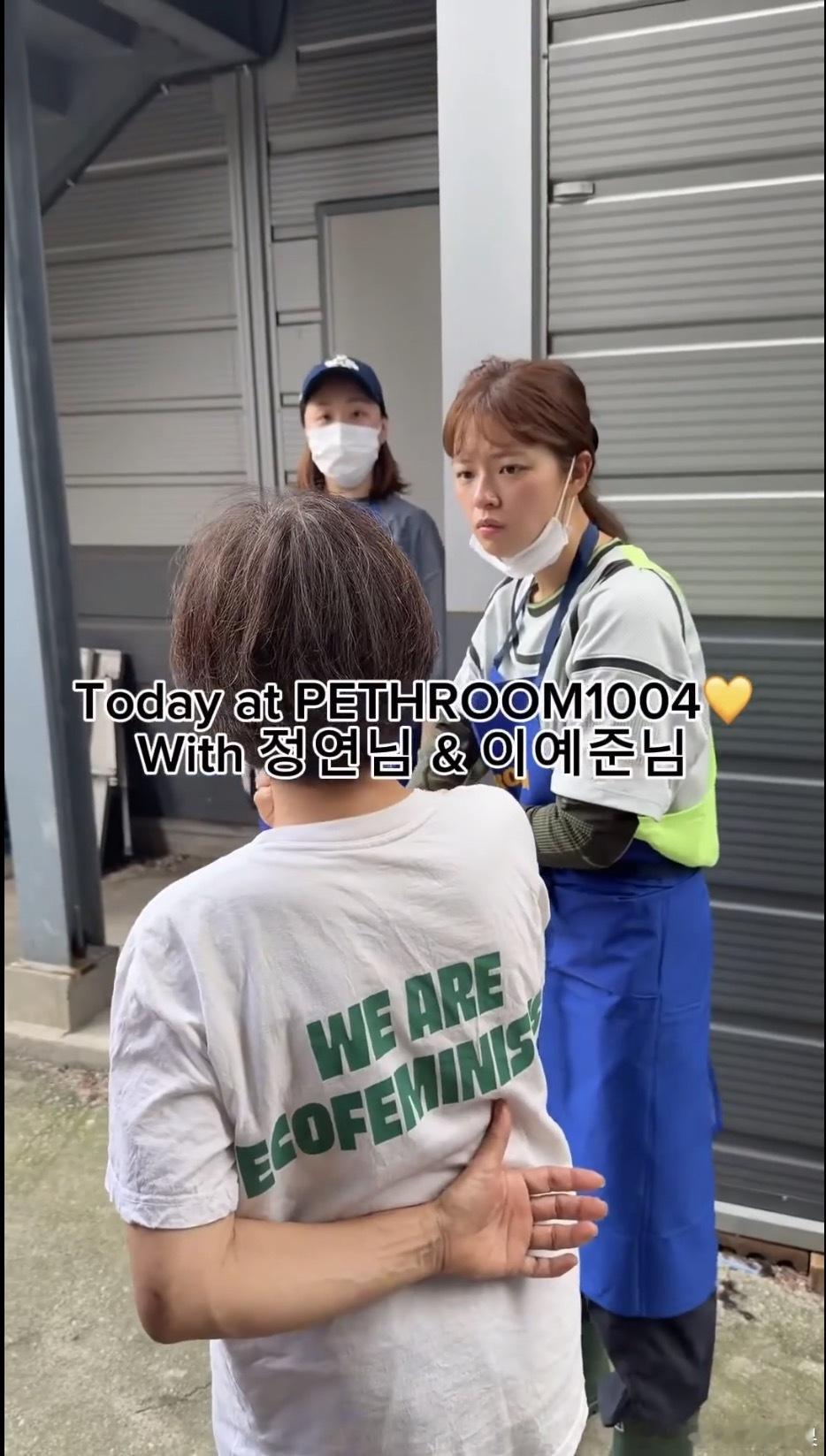 俞定延被拍到在动物收容所当志愿者 好感度有没有拉满 